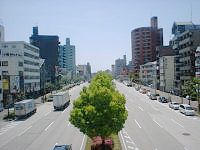 国道19号線の様子