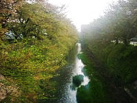 堀川