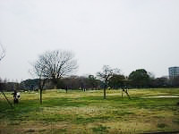 庄内緑地公園