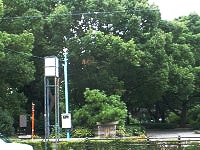 松葉公園