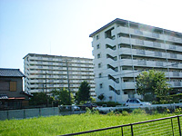 名古屋市中川区の田園と市営住宅