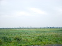 百曲街道