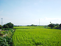 茶屋新田