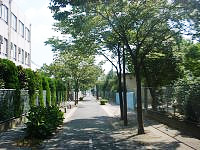 文政のみち