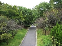 大江川緑道