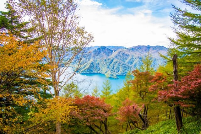 栃木県